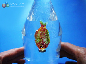 잠수하는 물고기/부품세트