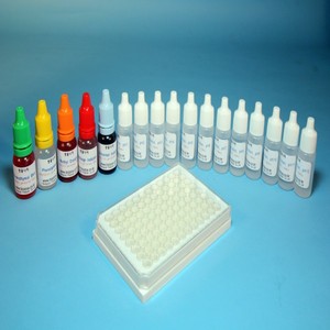 pH-실험세트(18종)