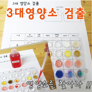 영양소 검출키트(10인용)/ 3대 영양소 검출 KSIC-9693