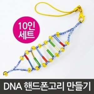 DNA핸드폰고리만들기(10인용)