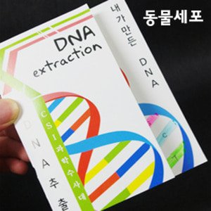 DNA추출법/동물세포(10인 세트)