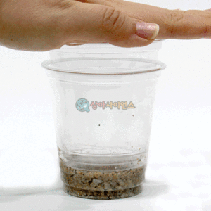퇴적암 모형 만들기(자갈,모래)(1인용 포장)