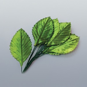 나뭇잎 모형(잎부분40개입) KSIC-10383