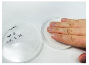 손 세균 검사/손에있는 세균검사 (옵션선택!)