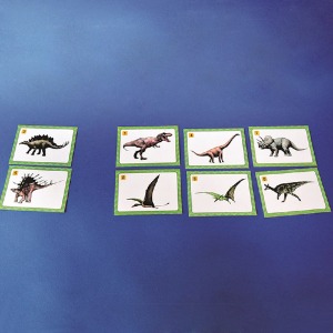 공룡 카드 (5인 세트)